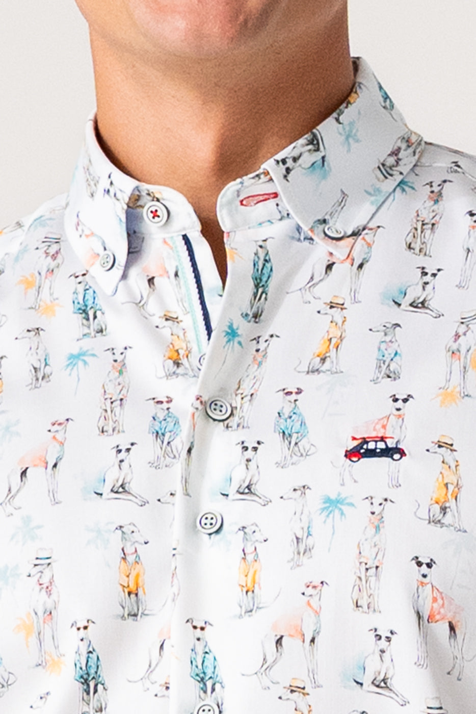 Camisa hombre estampado perros fondo blanco